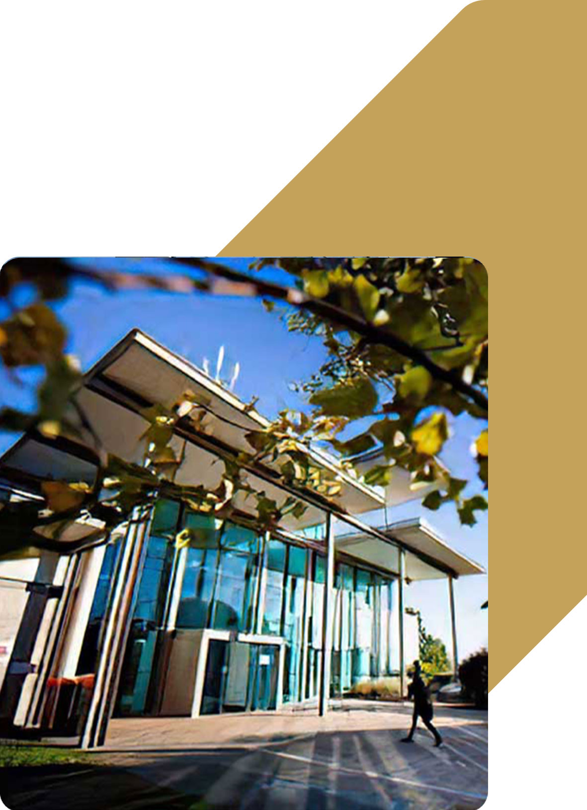 Chisholm Institute of TAFE entrance